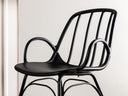 Silla Sciulus