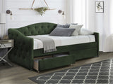 Cama 240213