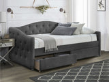 Cama 240213