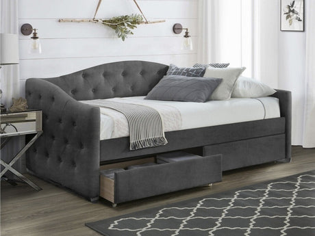 Cama 240213