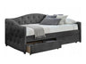 Cama 240213