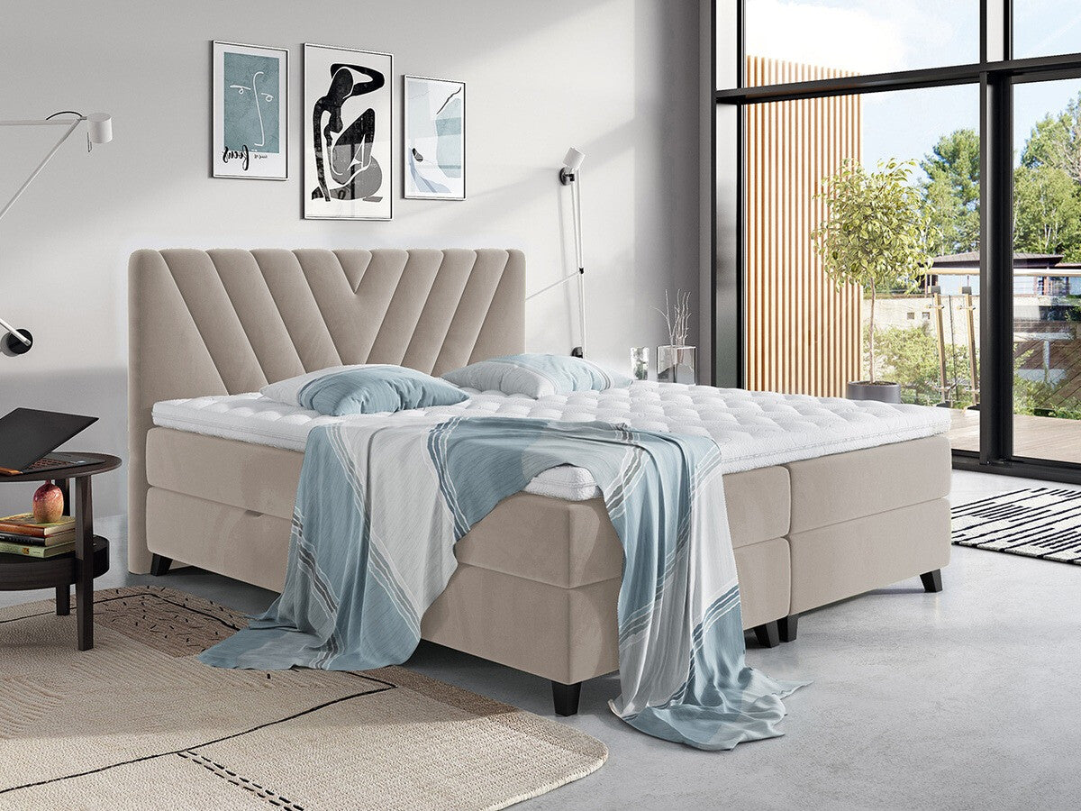 Cama continental 311453