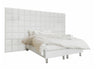 Cama continental 264830