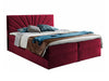Cama continental 263372