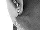 Silla Felculum