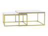Conjunto mesa de centro 495056