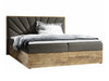Cama continental 495530