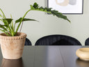 Conjunto de comedor Scholia