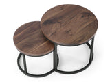 Conjunto mesa de centro 305831