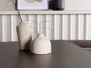 Conjunto de comedor Velolus
