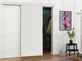 Puerta corredera 504794