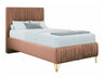 Cama continental 509267