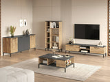 Conjunto de salón 509910
