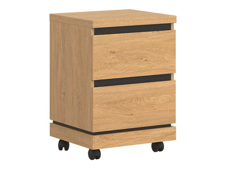 Archivador 511484