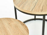 Conjunto mesa de centro 305831