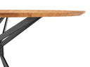 Mesa Salvami