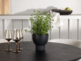 Conjunto de mesas y sillas para comedor 533863