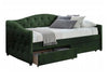 Cama 240213