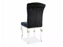 Conjunto de comedor Titus