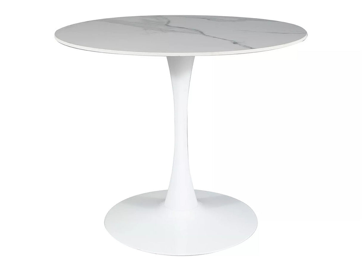 Mesa 548825