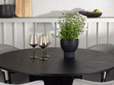 Conjunto de comedor Studillus