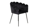 Silla Ferrula