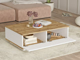 Conjunto de salón 551773