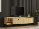 Mueble TV Specal