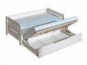 Cama Fenestula