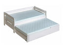 Cama Fenestula