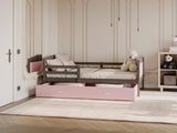 Cama 145996