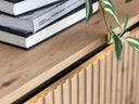 Mueble TV Dieillus