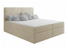 Cama continental 561123