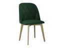 Silla Fenicis