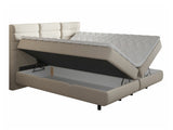 Cama continental 501441