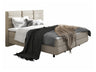 Cama continental 501441