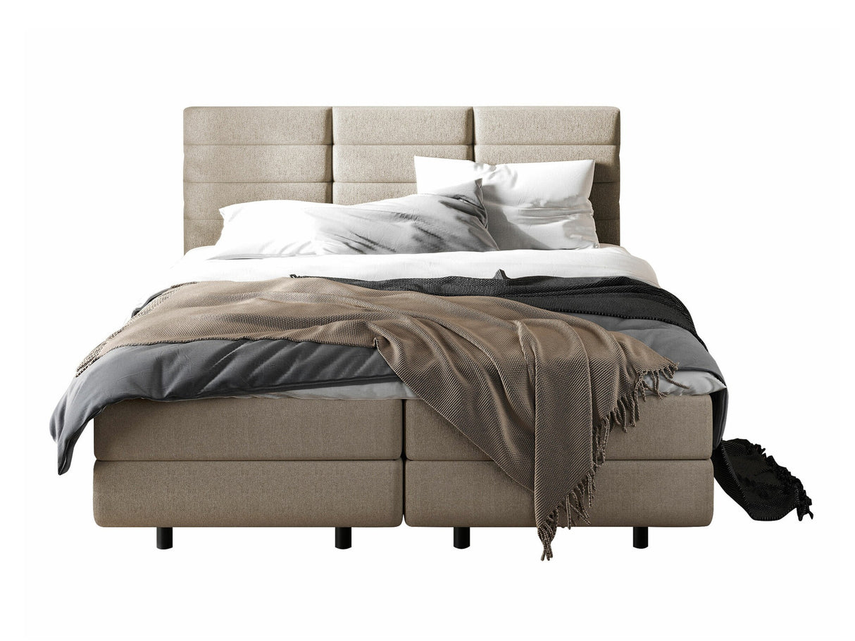 Cama continental 501441