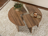 Conjunto mesa de centro 585090