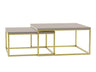 Conjunto mesa de centro 495056