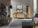 Conjunto de salón Levali 115