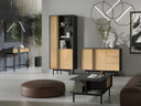 Conjunto de salón Levali 117