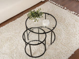 Conjunto mesa de centro 593476