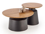Conjunto mesa de centro 601696