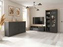 Conjunto de salón Sorcavi 113
