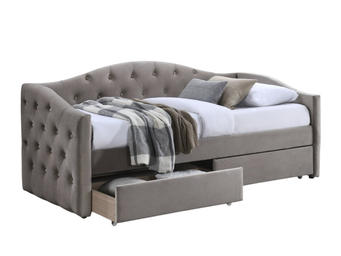 Cama 240213