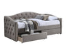 Cama 240213