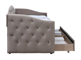 Cama 240213