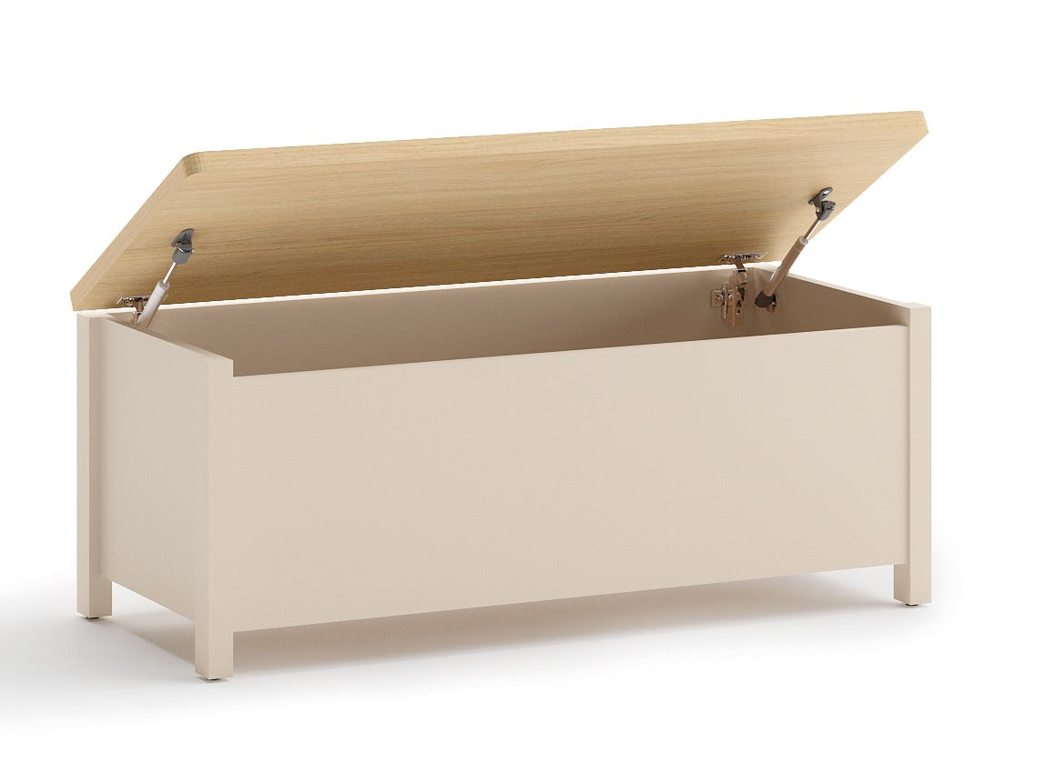 Caja de almacenamiento 611773