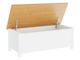 Caja de almacenamiento 611773