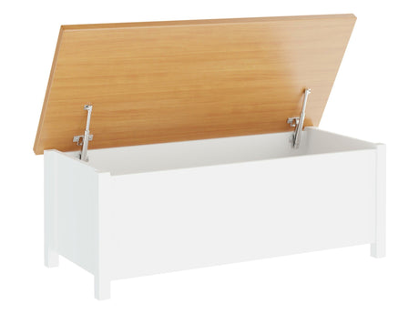 Caja de almacenamiento 611773